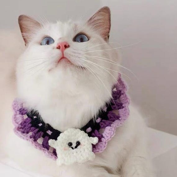 Halloween Theme Cat & Small Dog Crochet Collar, Cute Ghost Style Kitten and Puppy Bandana, Unique Spooky Pet Clothing, Trick or Treat Outfit