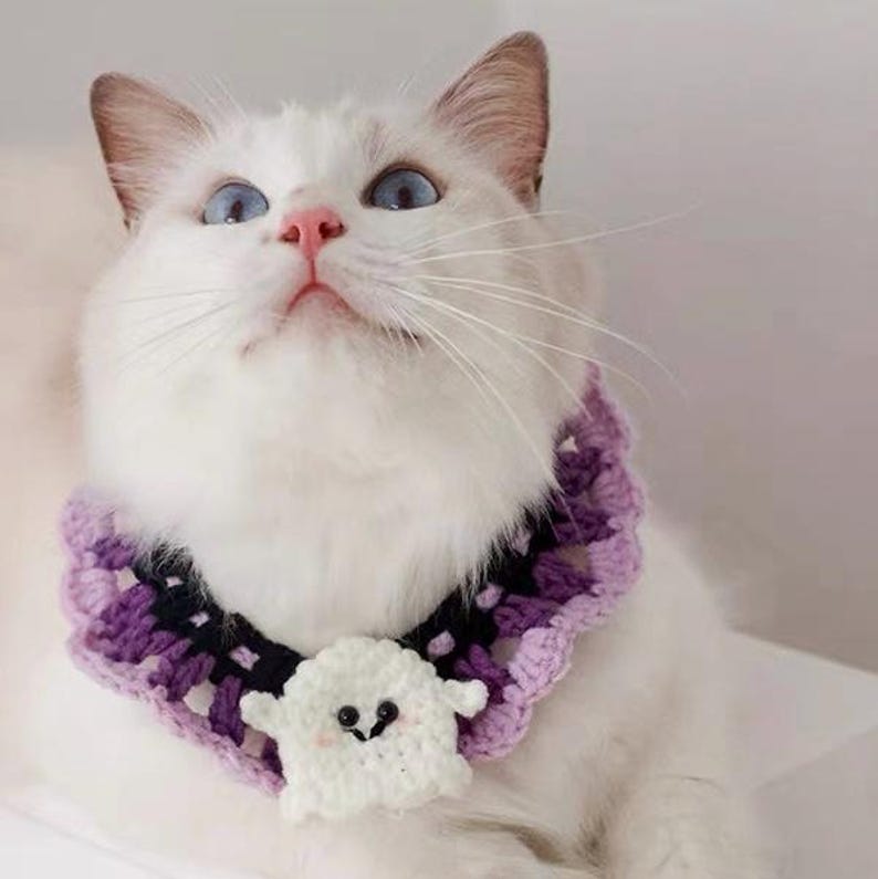 Halloween Theme Cat & Small Dog Crochet Collar, Cute Ghost Style Kitten and Puppy Bandana, Unique Spooky Pet Clothing, Trick or Treat Outfit bild 1