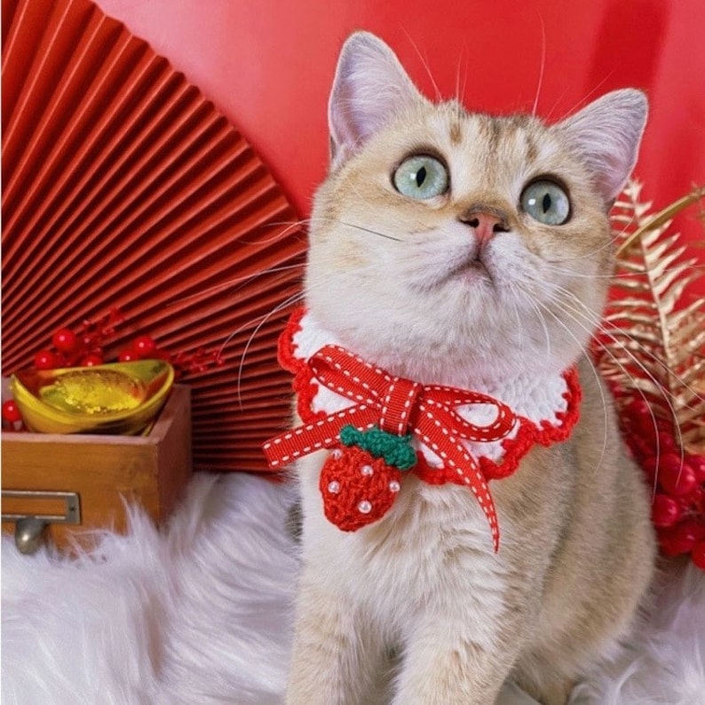 Strawberry & Cherry Crochet Cat and Dog Collar, Handmade Cute Pet Bandana, Fruit Kitten Neckwear, Fancy Luxury Small Dog Clothes Accessory Strawberry