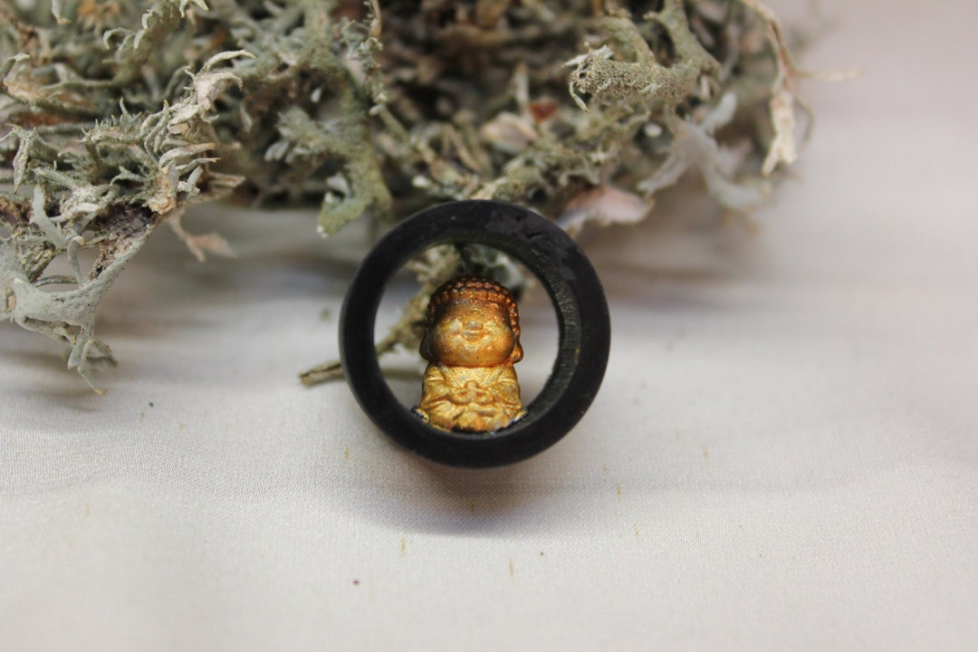 Buddha Plug 10-80mm - Etsy