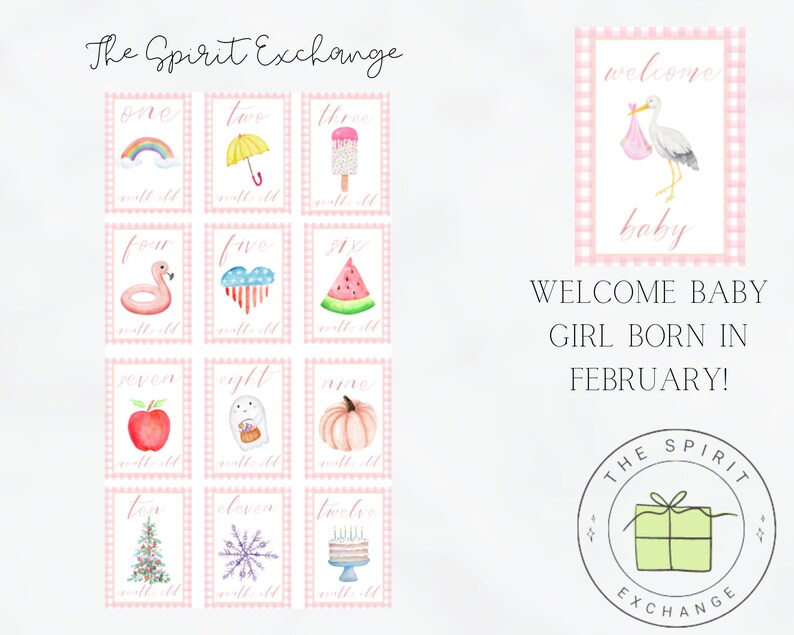May include: A set of 12 pink and white cards with illustrations of various objects, such as a rainbow, an umbrella, a popsicle, a flamingo, a heart, a watermelon, an apple, a ghost, a pumpkin, a Christmas tree, a snowflake, and a birthday cake. The cards are arranged in a grid of four rows and three columns. The text "The Spirit Exchange" is at the top of the image. The text "Welcome Baby Girl Born in February!" is at the bottom of the image. A pink and white gingham pattern is visible on the cards and in the background.