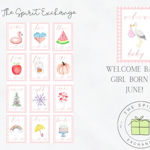 Baby Girl June : Cartes d'étape saisonnière | Douche de bébé | Première année | Cartes mensuelles | Photos | Jalon mensuel | La première année de bébé