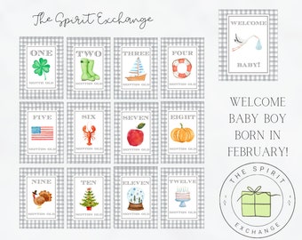 Baby Boy FEBRUARY: Seasonal Milestone Cards