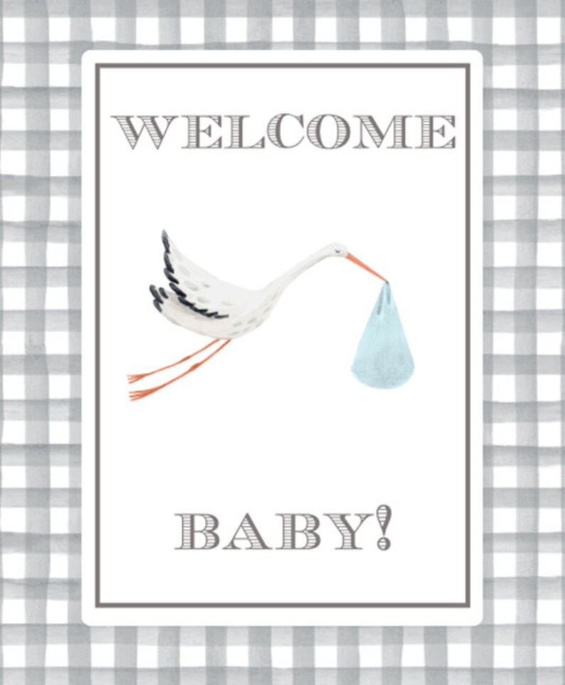 May include: A white stork with black markings flies with a light blue baby bundle in its beak. The background is a gray and white gingham pattern. The text "WELCOME BABY!" is printed on the white card.