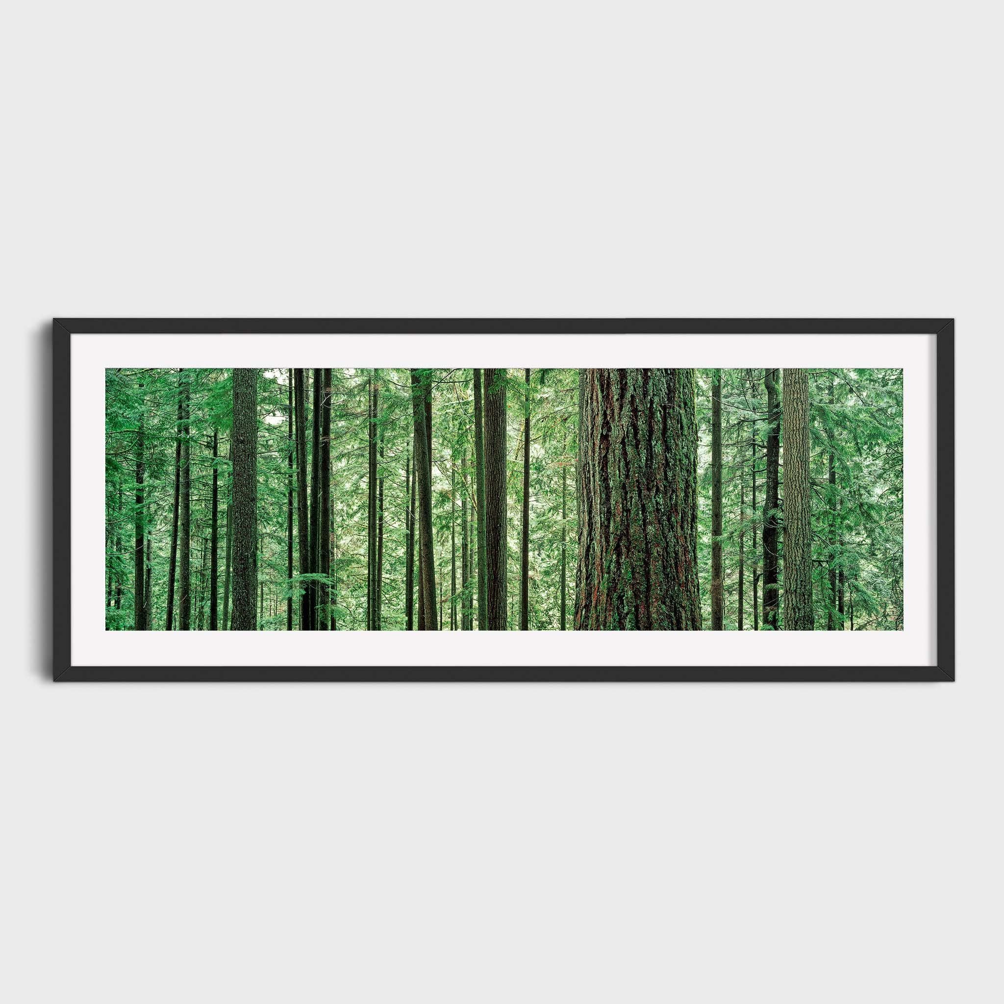 Photo peter lik - Etsy 日本