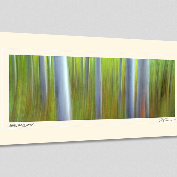 Aspen Impressions, Fine Art Photography, Open Edition Matted Metallic Print by Dermot O'Kane, Kananaskis Country, Alberta, Canada, Wall Art