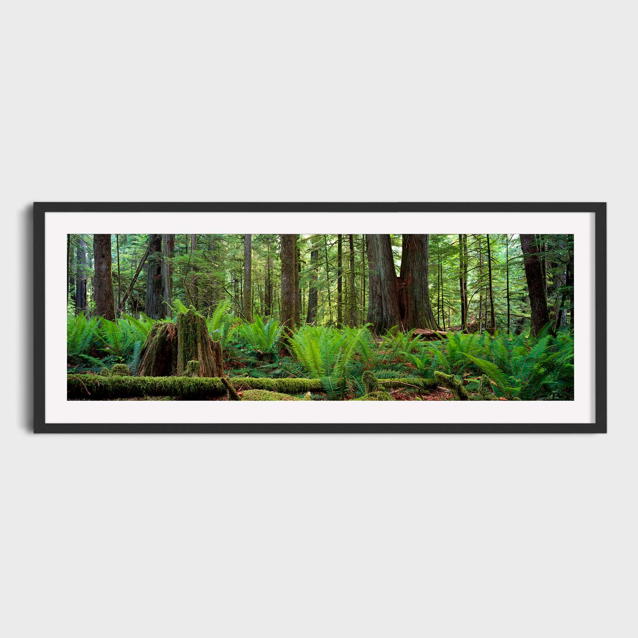 Photo peter lik - Etsy 日本