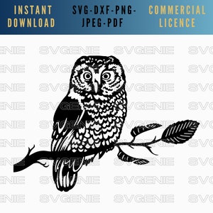 Eule SVG, Eule auf einem Ast svg, Eule Vorlage, Eule Vektor, Eule Silhouette, Waldkauz SVG, sitzende Eule Vektor, realistische Eule svg, Eule ClipArt