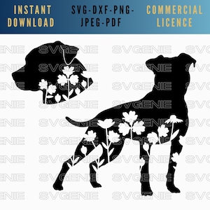 Pitbull SVG, Amerikaanse Pitbull terriër DXF, Bully hond SVG, bloemen Pitbull png, hondenras svg, grote hond svg, pitbull illustraties met bloemen
