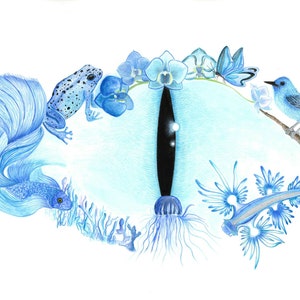 STAMPA A5 "Sea the Skeye", acquerello surrealista, illustrazione di occhio con animali marini, rana, uccello e orchidee, arte animale