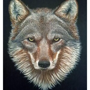STAMPA A4 LUPO appenninico di un dipinto originale in acrilico su tela, animali illustrati, animale selvatico, animali bosco e montagna