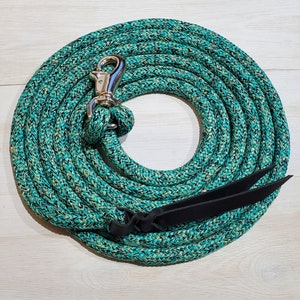 May include: A turquoise and black braided rope halter with a silver snap hook and black leather straps.