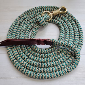May include: A teal and tan braided rope lead with a brown leather handle and a gold metal snap hook.