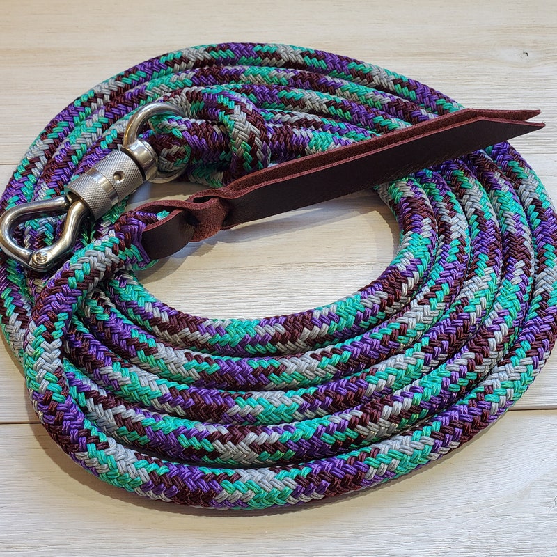 Rainbow Lead Rope Horse - Etsy