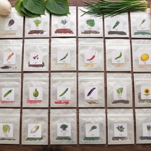 May include: An overhead shot of seed packets with illustrations of various vegetables. The packets are arranged on a wooden surface, surrounded by fresh produce like cabbage, radishes, and peppers. The packets feature images of peppers, eggplants, and other vegetables.