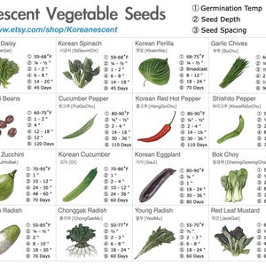 May include: Informative chart of Korean vegetable seeds, including Green/Red Leaf Lettuce, Crown Daisy, and Korean Spinach. The chart provides details on germination temperature, seed depth, and maturity days. The Etsy shop link is included.