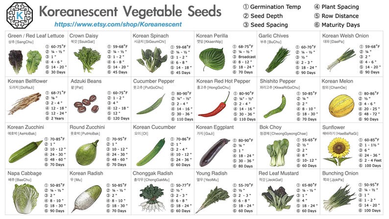 May include: Informative chart of Korean vegetable seeds, including Green/Red Leaf Lettuce, Crown Daisy, and Korean Spinach. The chart provides details on germination temperature, seed depth, and maturity days. The Etsy shop link is included.