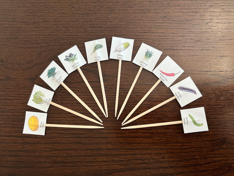 May include: A collection of small square cards on wooden skewers, each displaying a watercolor illustration of a different vegetable. The vegetables include Napa Cabbage, Korean Radish, and Korean Hot Pepper. The cards are arranged in a semi-circle on a dark wood surface.