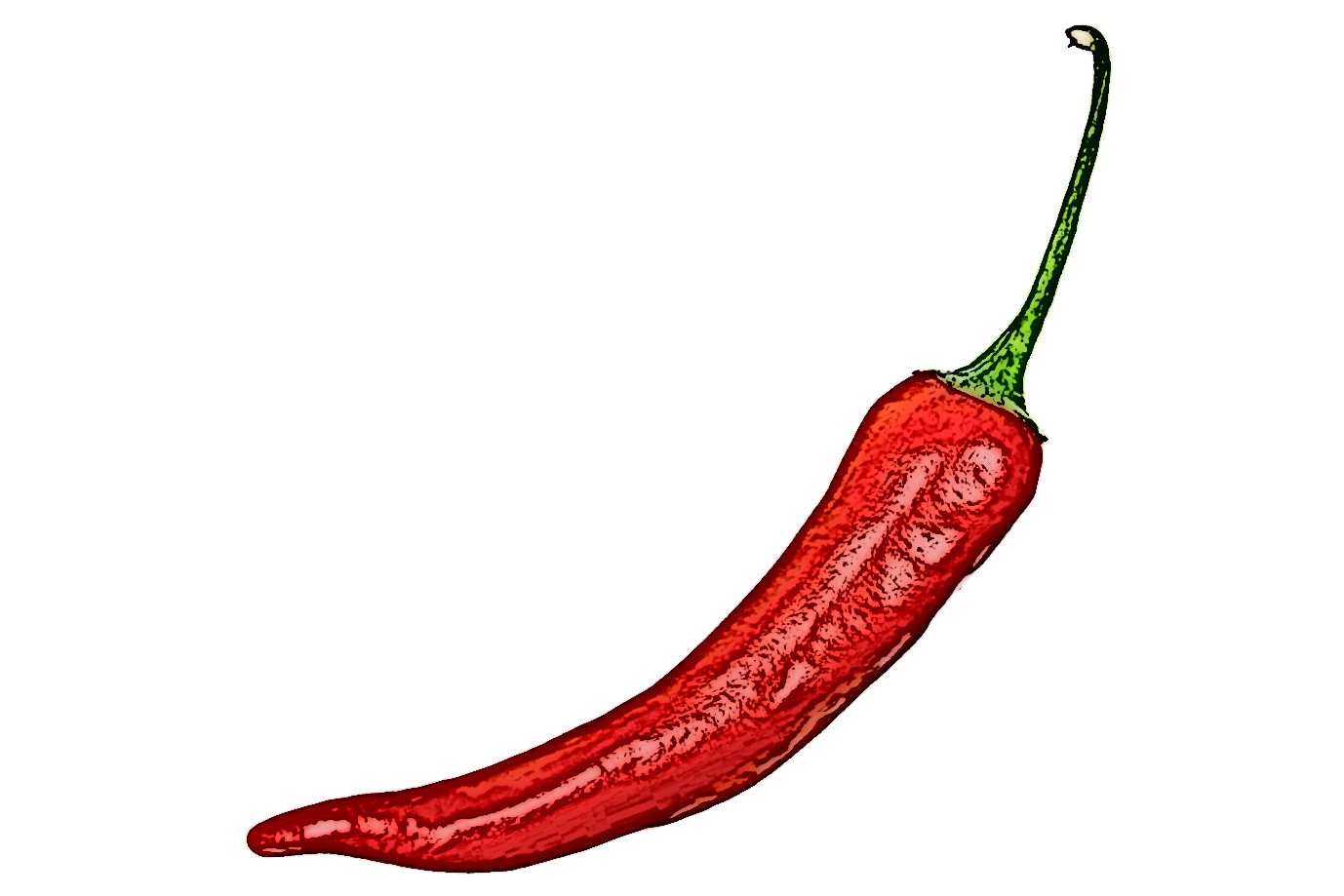Hong Gochu Non-gmo Korean Red Hot Pepper Seeds, 홍고추, Honggochu (15 Seeds) - Etsy