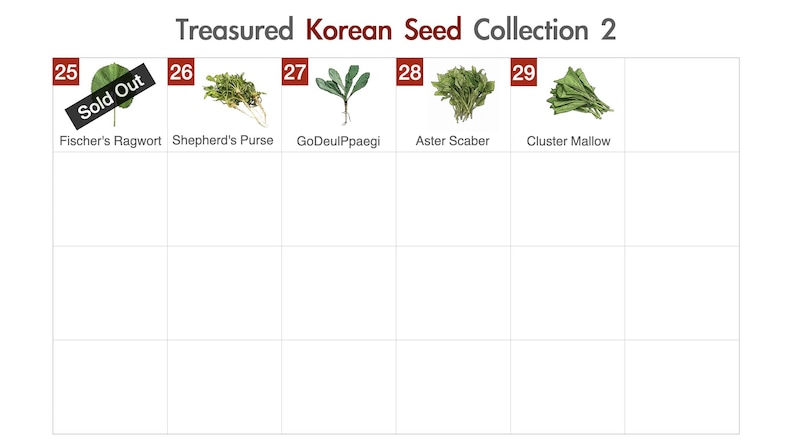 May include: A grid displaying the "Treasured Korean Seed Collection 2." The image shows various Korean seeds, including Fischer's Ragwort (sold out), Shepherd's Purse, GoDeulPpaegi, Aster Scaber, and Cluster Mallow. Each seed type is labeled with its name.