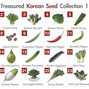 Pick Your Own Non-GMO Korean Vegetable Seed Collection (Normal Version) / Choice of 4, 6, 8, 10, 12, 16, 20, 24, or 26 Kinds of Seeds image 2