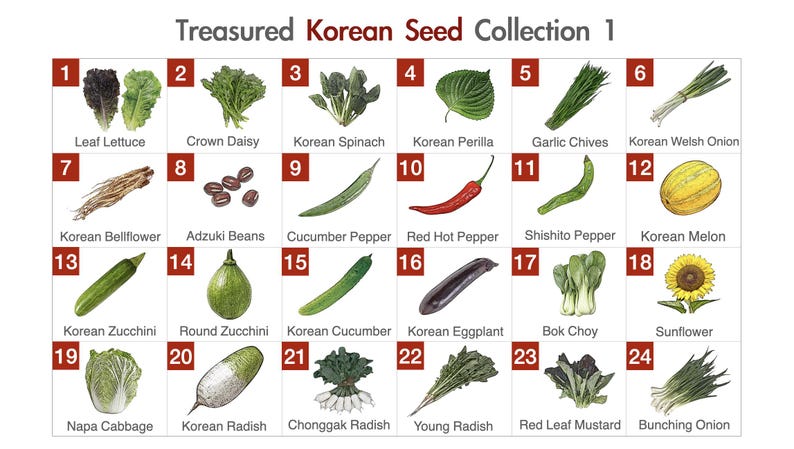 Pick Your Own Non-GMO Korean Vegetable Seed Collection (Normal Version) / Choice of 4, 6, 8, 10, 12, 16, 20, 24, or 26 Kinds of Seeds image 2