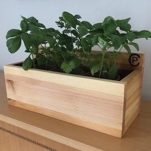 May include: A wooden planter box with a natural finish, holding three potted plants. The planter has a small, rectangular, wooden sign on the side with the letter "C" in a circle.