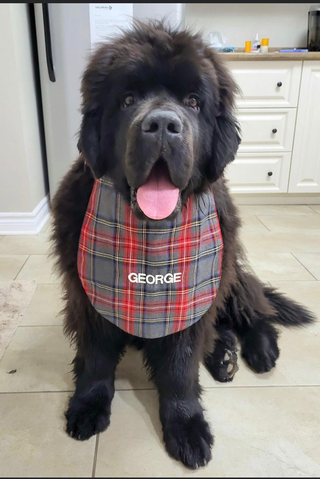 Large Breed Dog Bibs, Drool Bibs, All Sizes, Variety of Colours, Cotton Outside, Flannel or