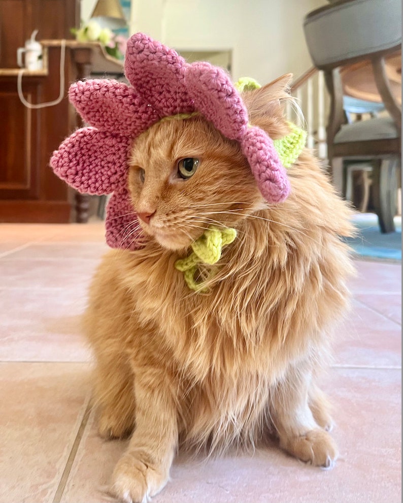 Pode incluir: Um gato ruivo usando um chap&eacute;u de flor rosa de croch&ecirc; com folhas verdes. O gato est&aacute; sentado em um ch&atilde;o de ladrilhos e olhando para a esquerda.