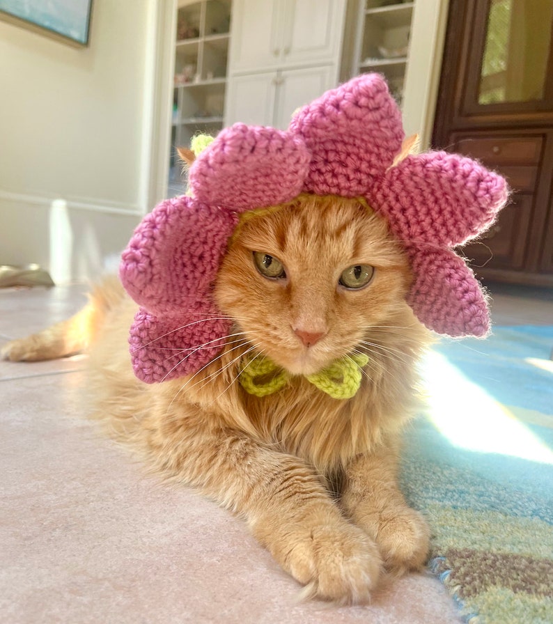 Pode incluir: Um gato ruivo usando um chap&eacute;u de flor de croch&ecirc; rosa e uma gravata borboleta verde. O gato est&aacute; deitado em um tapete azul claro e marrom.