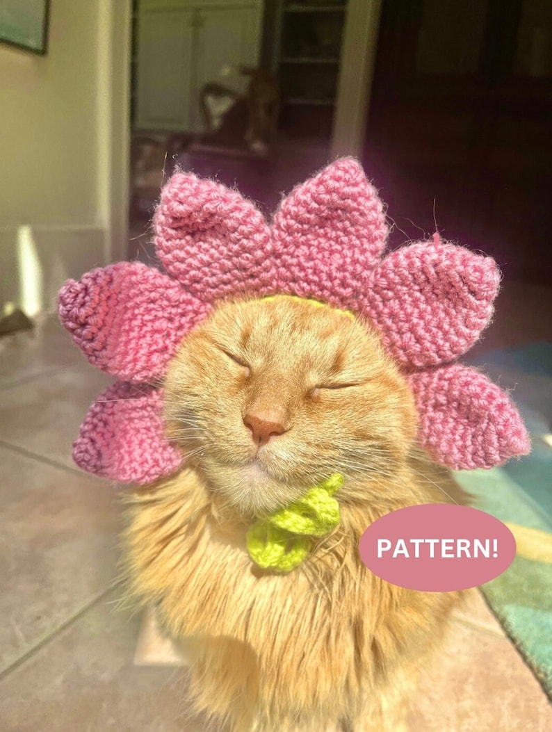 Pode incluir: Um gato laranja felpudo usando um chap&eacute;u de flor de croch&ecirc; rosa e um colar de croch&ecirc; verde. O gato est&aacute; olhando para cima com os olhos fechados e tem uma express&atilde;o relaxada. O texto "PATTERN!" &eacute; vis&iacute;vel no canto inferior direito da imagem.