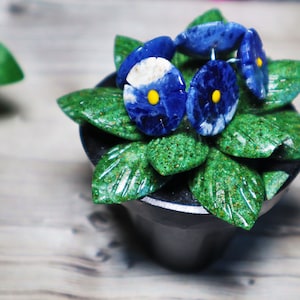 Könnte beinhalten: Eine kleine Topfpflanze mit blauen und weißen Blüten aus Stein. Die Blätter sind grün und haben eine glitzernde Textur.