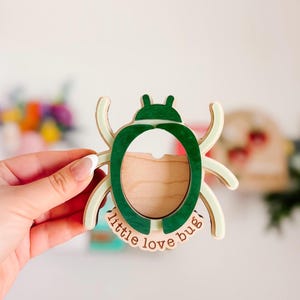May include: Wooden bug-shaped decor with a green outline and the words "little love bug". The bug has a light green and beige color scheme. The center is hollow, and the bug is held by a hand.