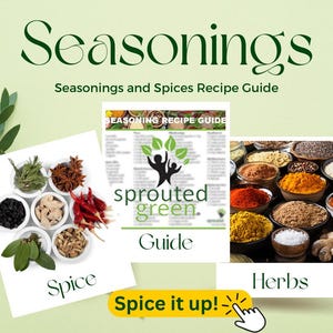 Seasoning Recipe Guide