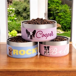 Dog Birthday Gift with Name, Pet Food Bowl, Small Pet Bowl, Gift for Cat, Custom Dog Bowl with Name, Gift for Dog, Personalized Pet Bowl