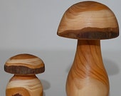 Holzpilz