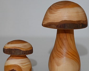 Wood fungus