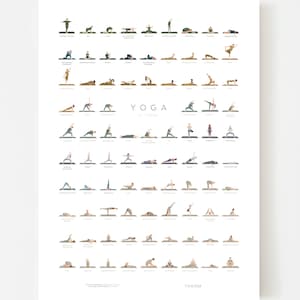 Yoga Posen Poster 87 Asanas illustriert Bild 2