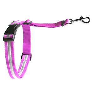 Rally dog escape belt, belly belt that prevents the dog from escaping for all harness, fits cajadus Rally Y-harness, for rescue dog too
