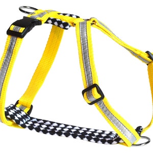 Y-harness "Rally", Cajadus - Immediate purchase - No Pull Dog Harness for Puppy and Small dogs