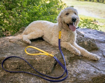 6 ft Biothane Dog Leash with Silver Hardware, Two Tone Colorful Waterproof Dog Collar, Vegan Leather Collar Adjustable lengths