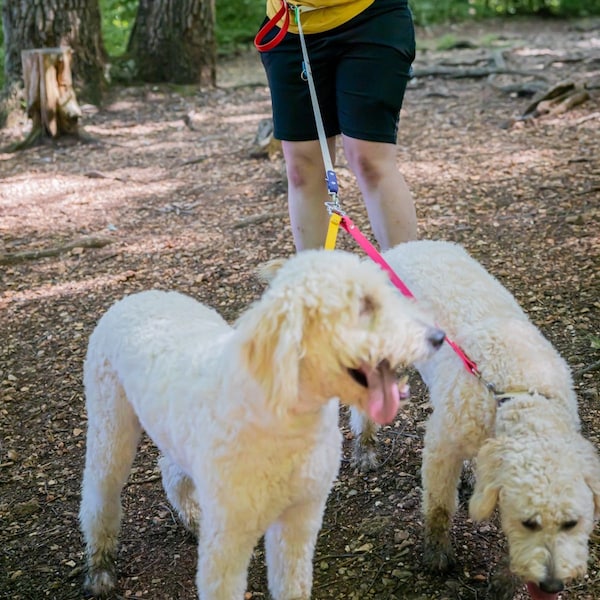 3/4" Biothane Multi-Dog Leash Attachment for Dog Leash, Waterproof Dog Leash attachment, Multiple Dog walking leash