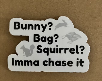 FastCAT Dog Chasing a Baggie Funny Saying Waterproof Scratchproof Sticker, bag bunny squirrel imma chase Decal for Car, Water bottle, Laptop