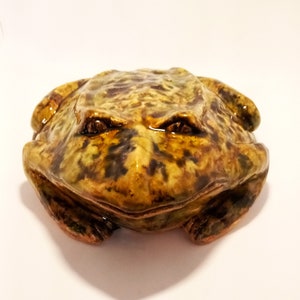 Realistic Garden Toad Unique Clay Sculpture for Table, Floor, Bookcase, Window Seat. Give the Gift of Art.