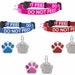 see more listings in the Cat Collar & Tag Set section