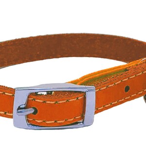 Genuine Leather Kitten / Cat Collar with Safety Elastic, Buckle Fastening & Bell. Ideal for Cats or small puppies image 6