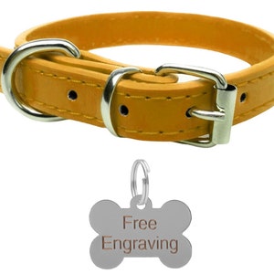 May include: Mustard yellow leather dog collar with a silver-colored buckle and D-ring. Includes a silver-colored bone-shaped tag with the words "Free Engraving". The collar is designed for small to medium-sized dogs.