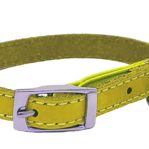 Genuine Leather Kitten / Cat Collar with Safety Elastic, Buckle Fastening & Bell. Ideal for Cats or small puppies image 10