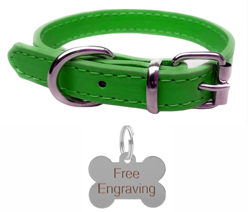 May include: A bright green dog collar with a silver buckle and hardware. Includes a silver bone-shaped tag with the words "Free Engraving". The collar is made of a smooth material and is designed for pets.