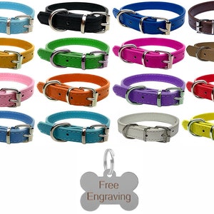 Vibrant Leather Dog Collar for Puppy, Dogs - For Small, Medium & Large Pet Collars with Personalised Engraved Bone Shaped Tag